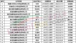 瘋狂！“上下”通吃！海螺連續成立50多家公司！