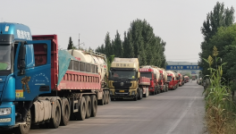 ?水泥廠又排隊了！原因竟是……